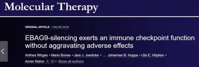 1661737112950795.png image.png