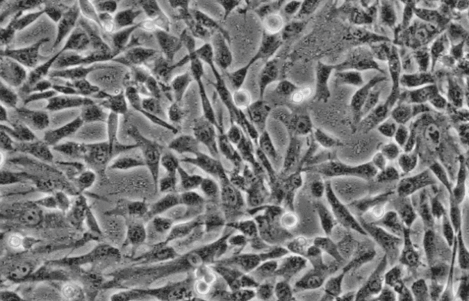 1661737916995250.png image.png