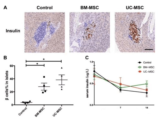 1661737942214429.png image.png