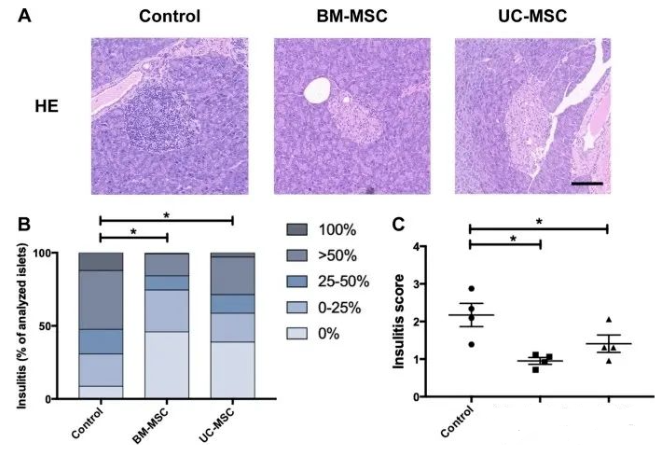 1661737949125867.png image.png