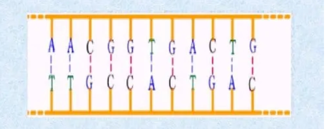 1661751527858021.png image.png