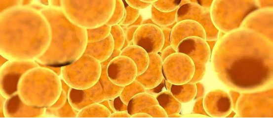 1667028702114821.png 1667028700628.png