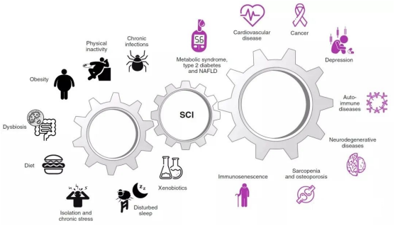 今年國慶你“胖”了嗎!