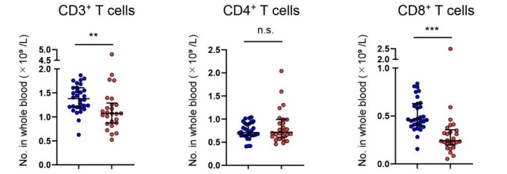 1671071039201510.jpg 008eTGmDly4h0cz177ubkj30sf09s74w.jpg