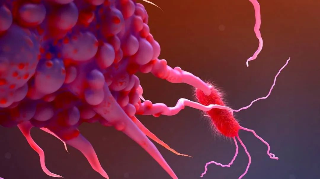 1676948237142788.jpg 微信圖片_20230217114420.jpg