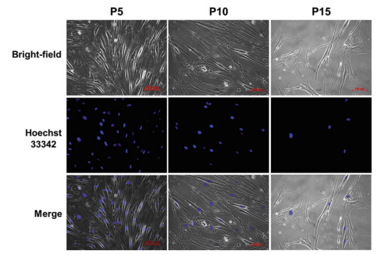 1677903956119914.png 微信圖片_20230228155202.png