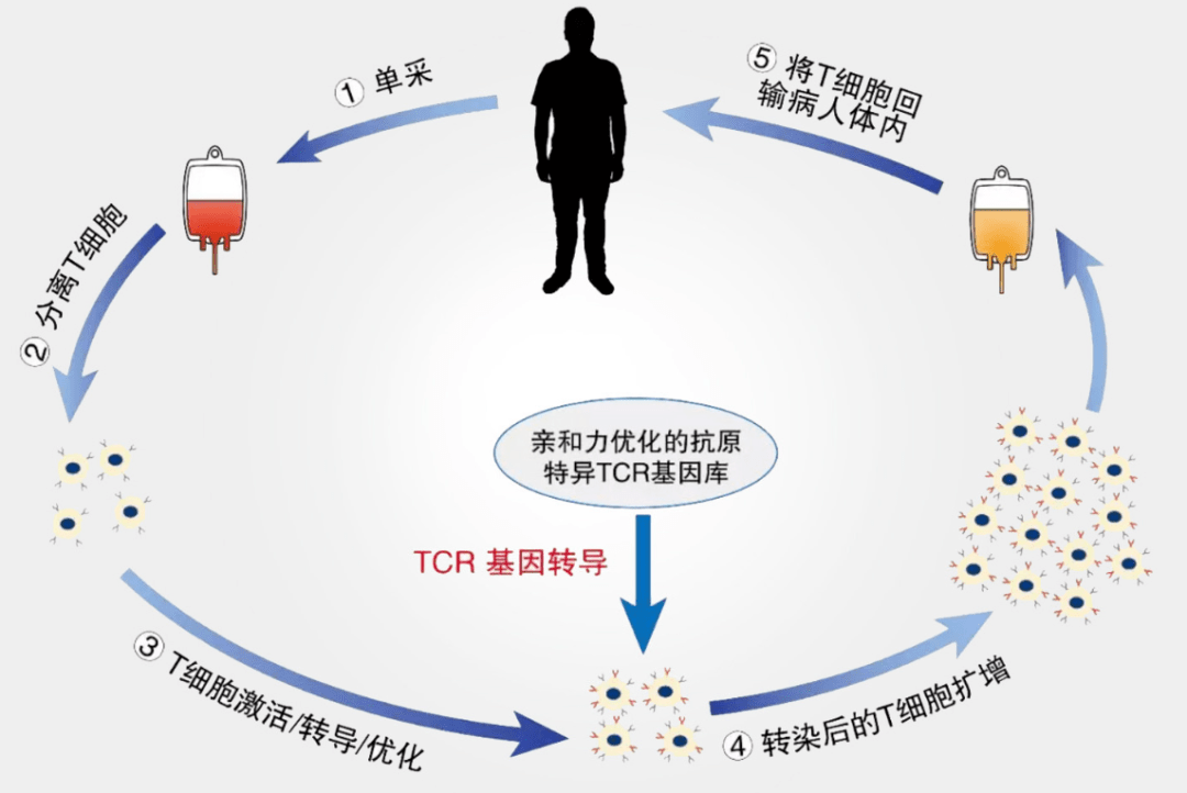 1679641933204256.png adde1419f99a45d59ceecc8974f6ad17.png