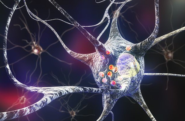 1681179873174842.jpg oMf9-hnvukff7093427.jpg