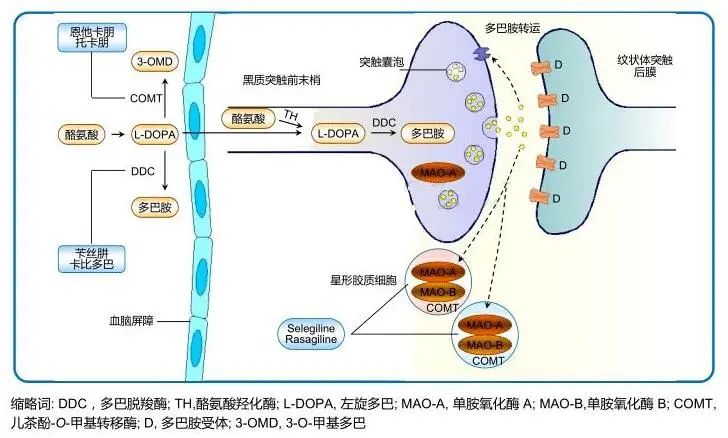 1681180099714673.jpg 2.jpg