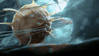 后疫情時代細(xì)胞成為焦點，通過10個問答帶大家了解免疫細(xì)胞應(yīng)用