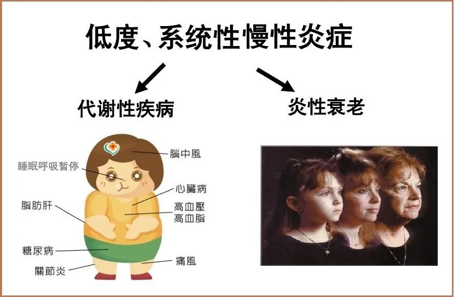 1687660808303332.jpg 640 (7).jpg