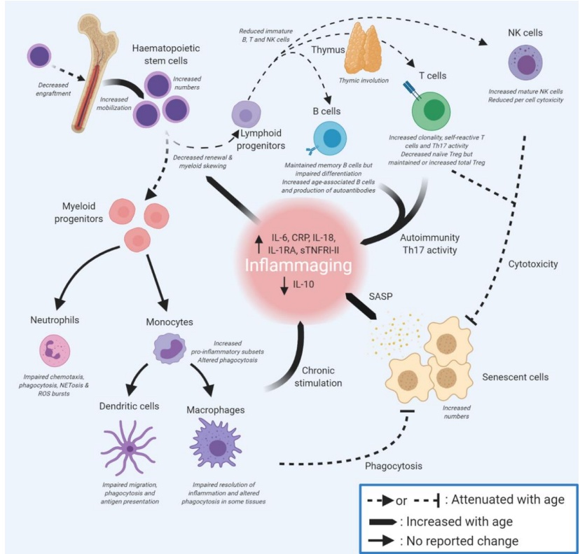 1687661108112544.png 640 (18).png