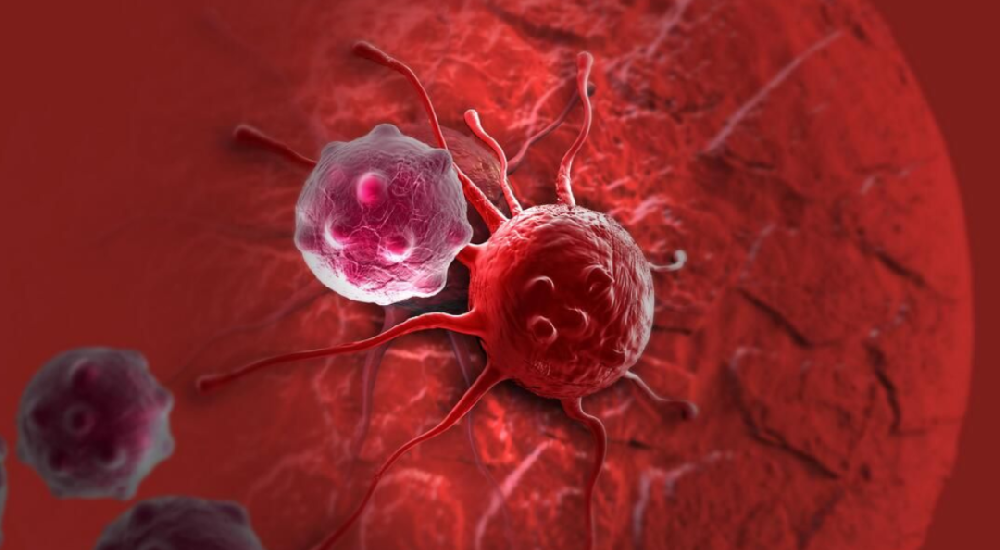 什么是腫瘤微環境?