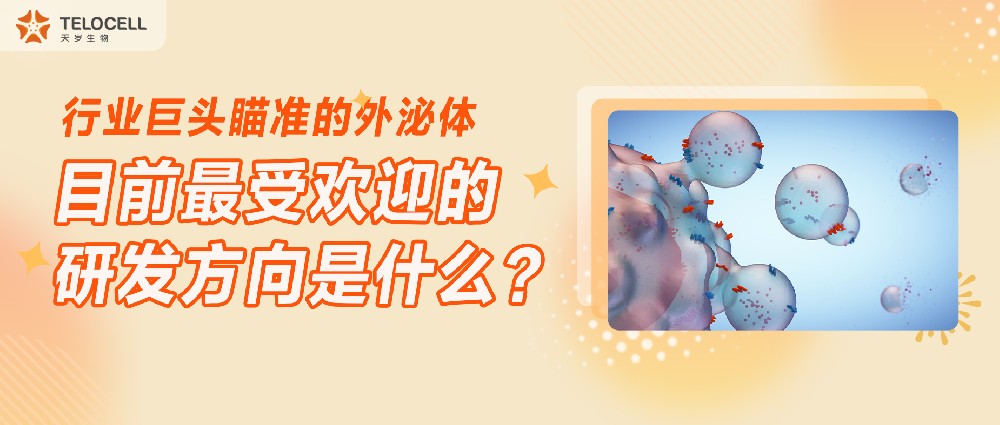 行業巨頭瞄準的外泌體，目前最受歡迎的研發方向是什么？