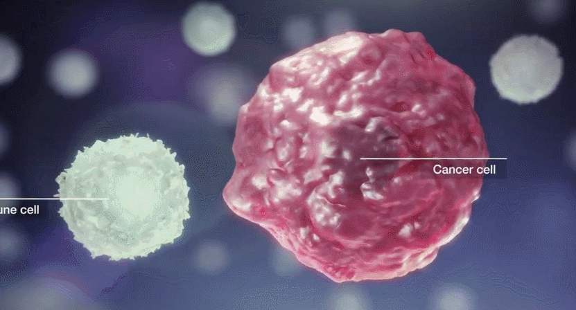 1690010076210688.gif 640 (1).gif