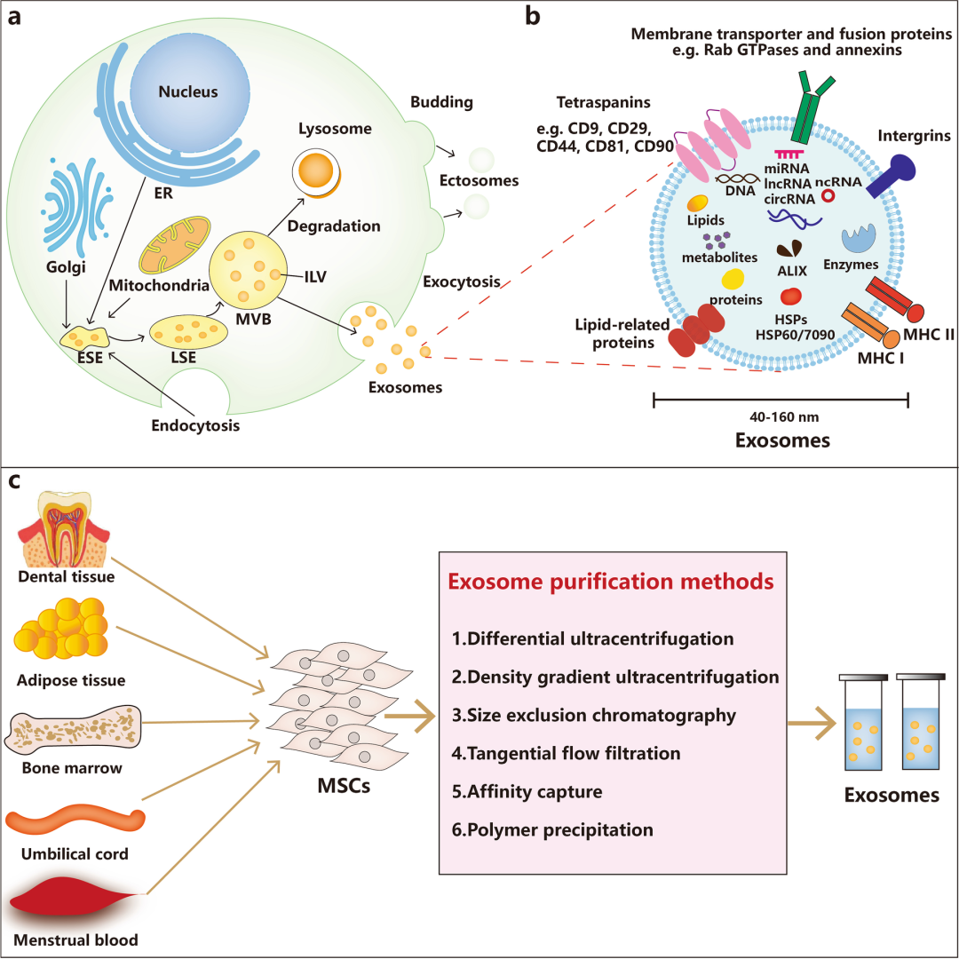 1693466986467181.png 640 (4).png