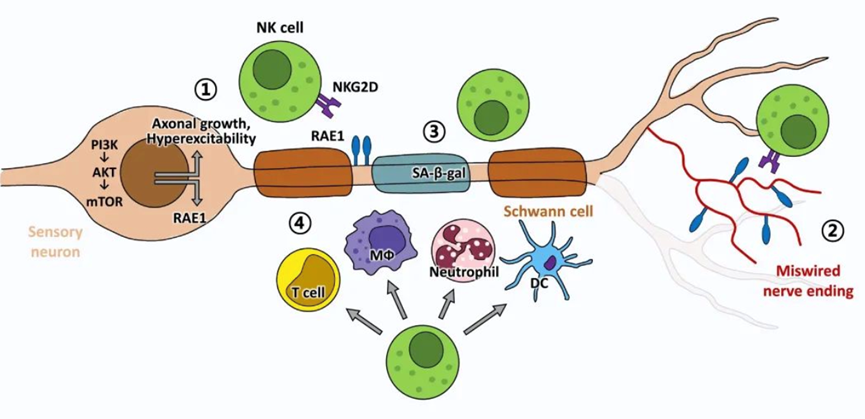 1694243472190646.png 640.png