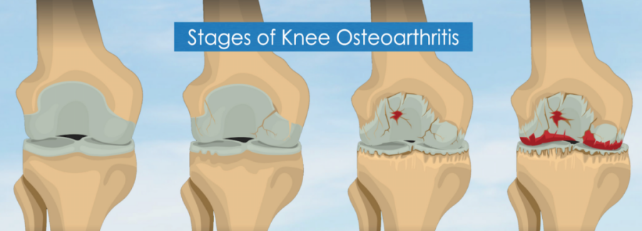 1701834958130965.png 640 (6).png