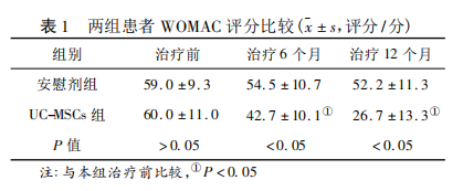 1701835024464956.png 640 (3).png