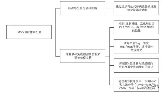 1702621963453276.png ecdfdd2a83c6928c38765293f780fe56.png