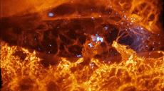 干細胞與免疫細胞都能改善免疫力，那該怎么選？