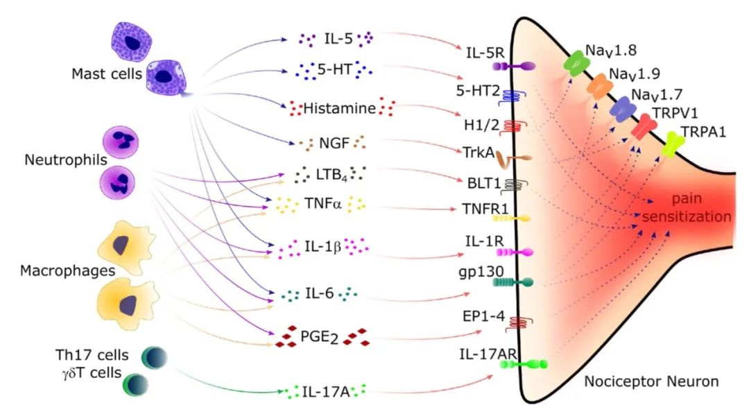 1704528566693339.jpg 640 (1).jpg