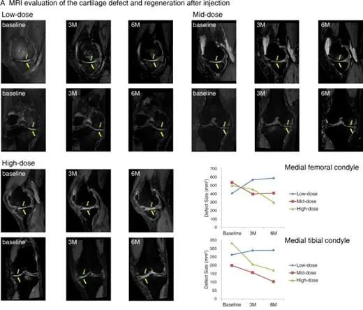 1704528776164688.jpg 640 (4).jpg