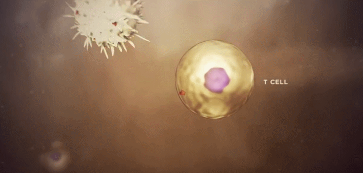 1705375551172935.gif 640.gif