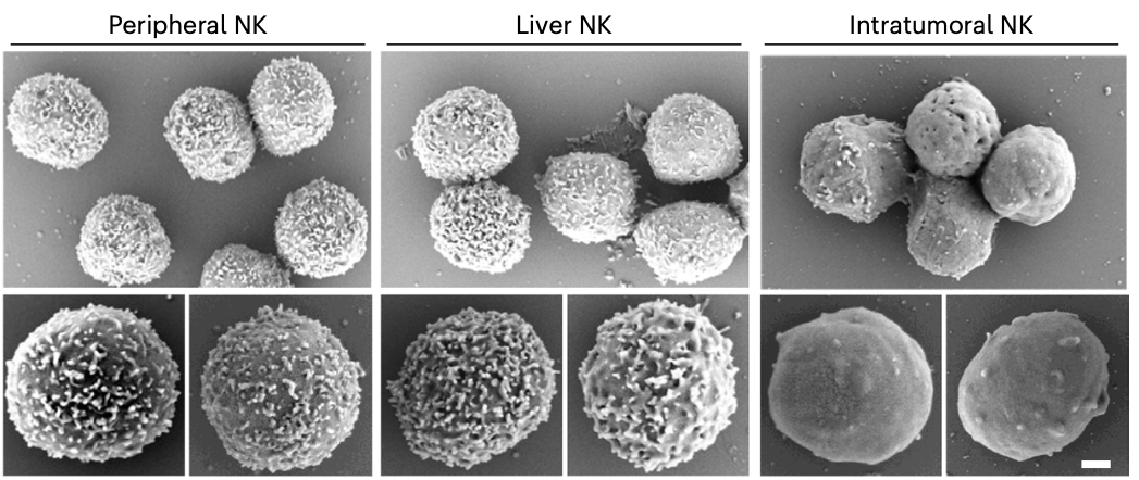 1705996055337627.png 640 (3).png