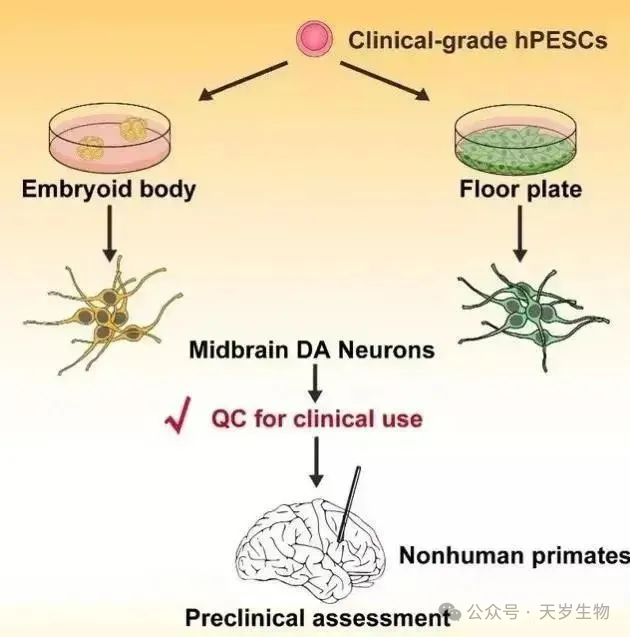 1709632197940631.png 微信圖片_20240305174737.png