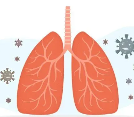 1717039405204867.png 1716975719861.png