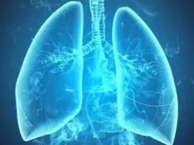 1717039510141128.png 1716975814449.png