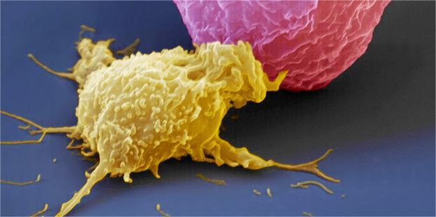 1719297989643417.jpg d1a20cf431adcbefdc178cdfaeaf2edda2cc9fcc.jpg