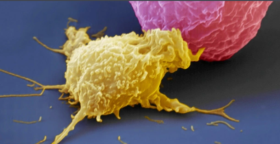 1724318606835612.png 1724209521133.png