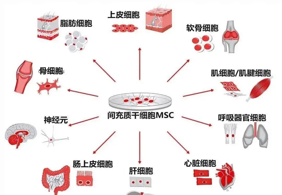 1724741290100254.jpg 640.jpg