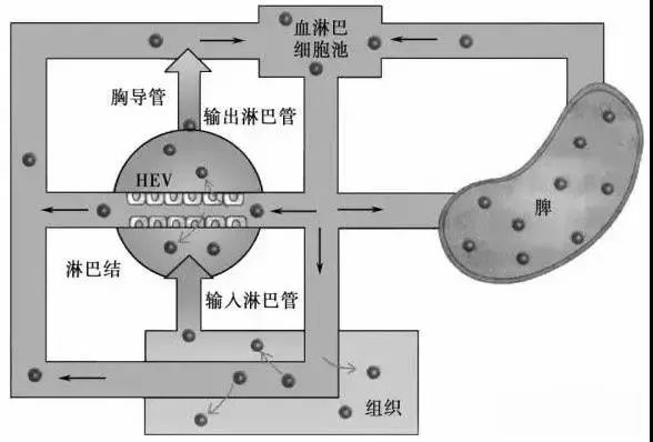 1724741374743512.jpg 640 (1).jpg