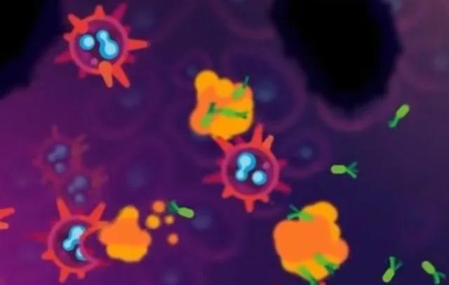 1725873100183481.jpg 2450.jpg