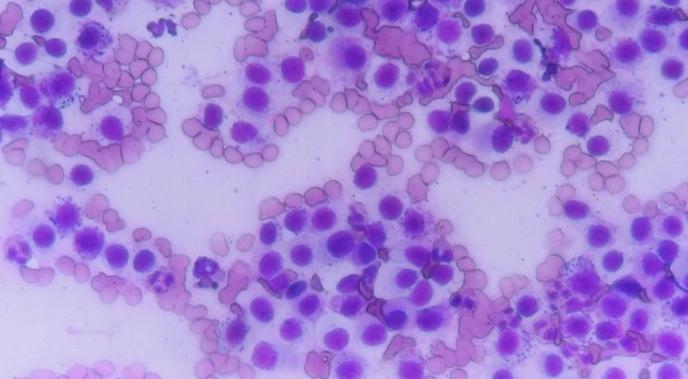 1725873223714730.jpg 13393.jpg