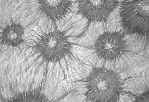 1725873258686571.jpg 31613.jpg