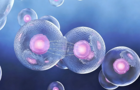 干細(xì)胞十大疑問(wèn)全解析,揭開生命再生密碼