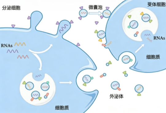 1766969273194814.png image.png