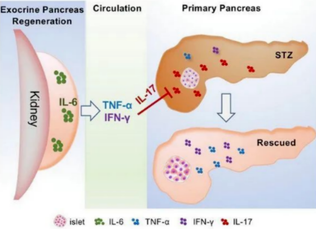 1775004860132075.png image.png